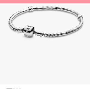 Pandora Moments snake chain bracelet